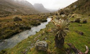 Gobierno lanza Política Nacional de Cambio Climático